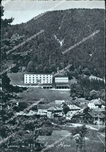 Bz696 cartolina tarvisio - cartolina,