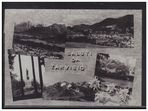 Cartolina saluti tarvisio - da,