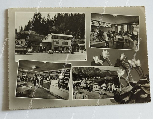 Cz689 cartolina tarvisio - cartolina,