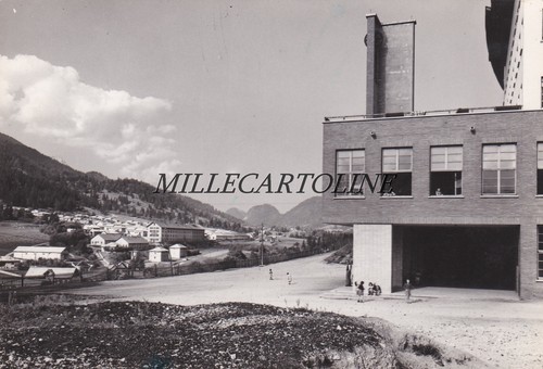 Tarvisio colonia alpina - ,