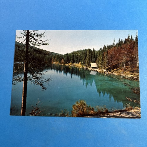 Tarvisio 751 fusine parco - tarvisio,