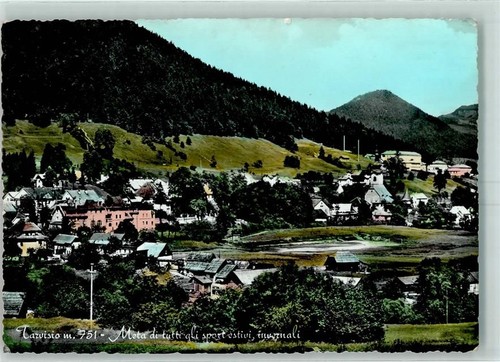 33018 tarvisio 10580094 - tarvisio,