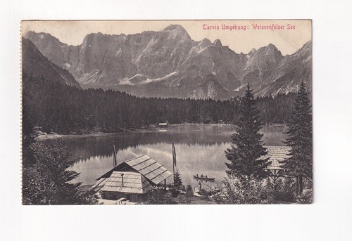 303 cartolina tarvis - cartolina,