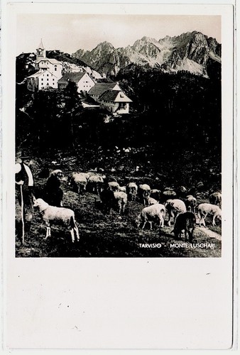 Tarvisio udine monte - ,