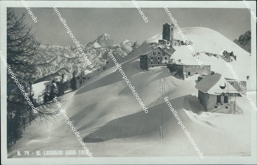 Bf341 cartolina luschari - bf341,