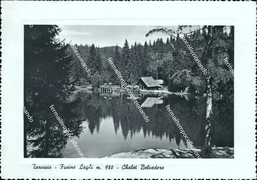 Bf506 cartolina tarvisio - cartolina,